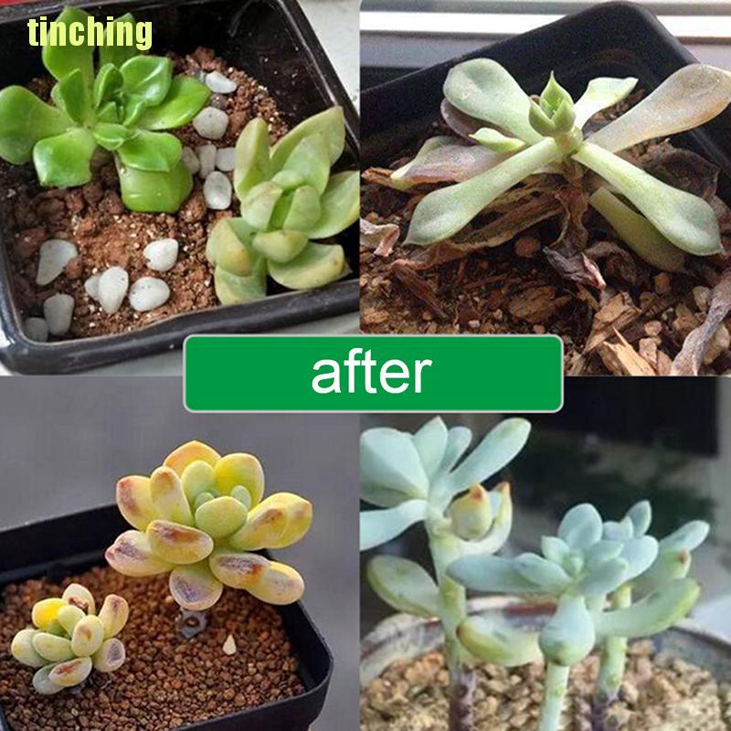 Đèn LED Kích Thích Tăng Trưởng 10w Dc 5V USB