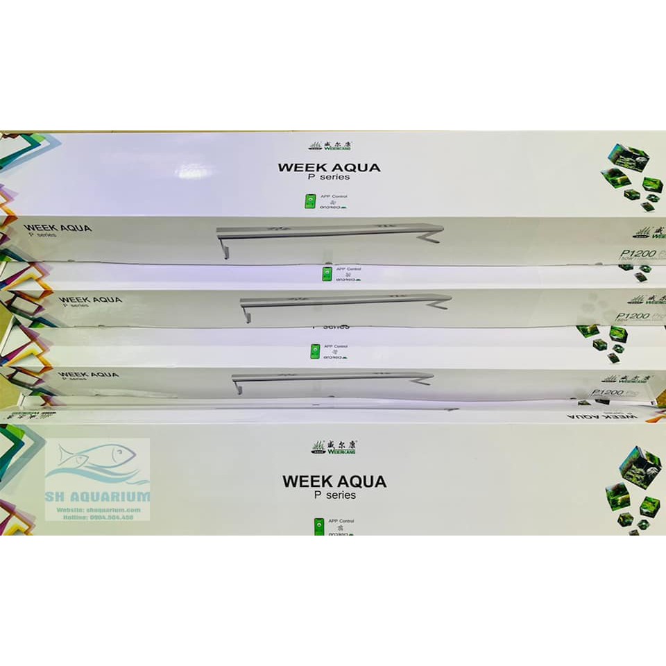 Đèn bể cá thủy sinh dạng máng cao cấp WRGB Week P Series P600, P900, P1200 aquahadong