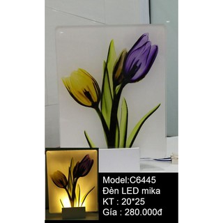 ĐÈN TRANH GẮN TƯỜNG CAO CẤP
