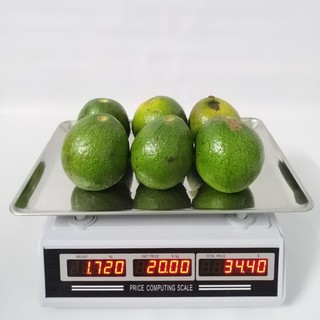 Cân điện tử tính tiền siêu thị trái cây thịt cá UPA 30kg