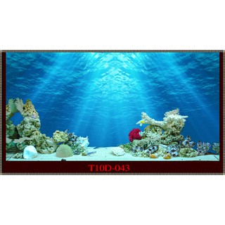 Tranh 3D bể cá mã T10D-043 kt (60,80,90,100,1m2,1m5,1m6)