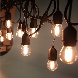 Đèn Led sợi tóc Edison trang trí, kín nước ip67