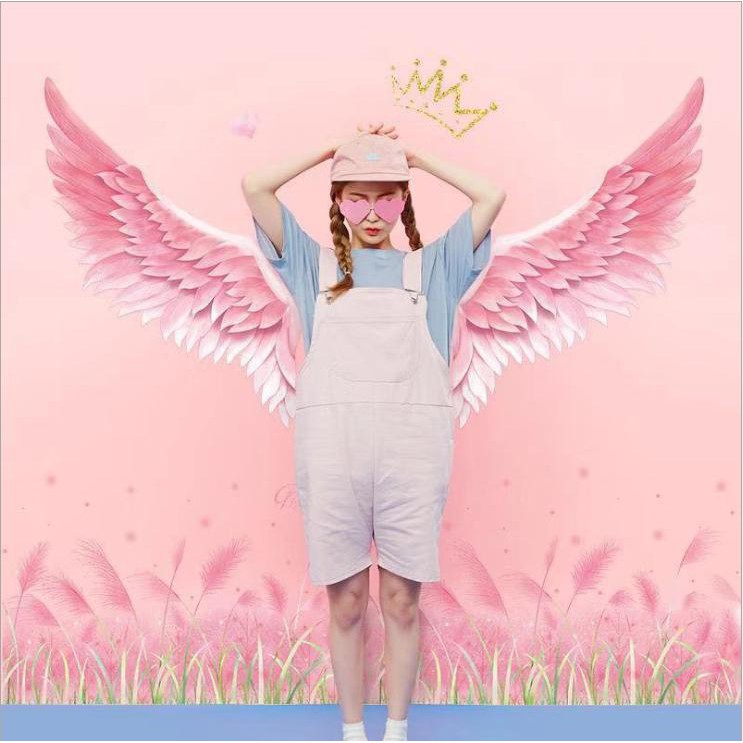 [FREESHIP 50K] Decal trang trí hình đôi cánh thiên thần - decaN dán tường đôi cánh màu hồng