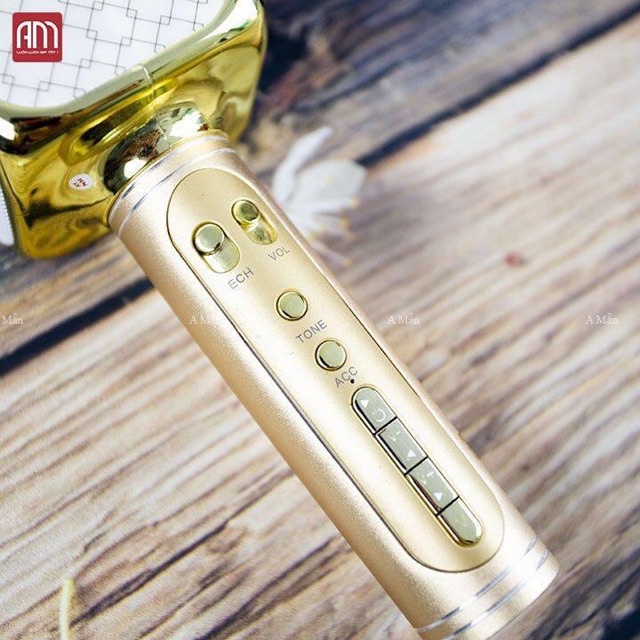 Mic Karaoke 3in1 Ys-69