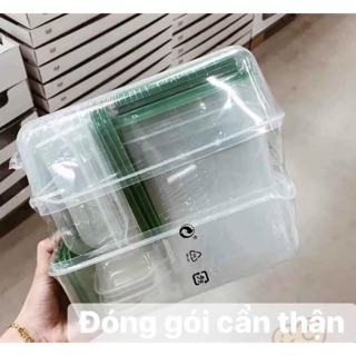 Set hộp nhựa đựng thực phẩm