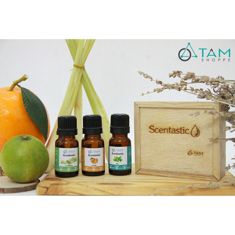 [TD ORGANIC] Combo TD01: Bộ 3 chai tinh dầu thiên nhiên 10ml ‪SCENTASTIC kèm hộp gỗ