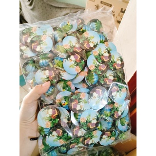 1 con Socola Hình Bọ