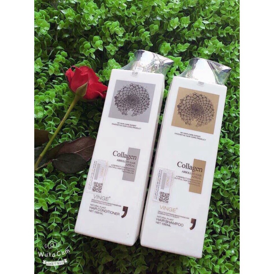 Bộ Gội Xả COLLAGEN VINGE 1000ML| Phục Hồi Tóc Hư Tổn Giúp Giảm Rụng Tóc, Ngăn Rụng Tóc | BigBuy360 - bigbuy360.vn