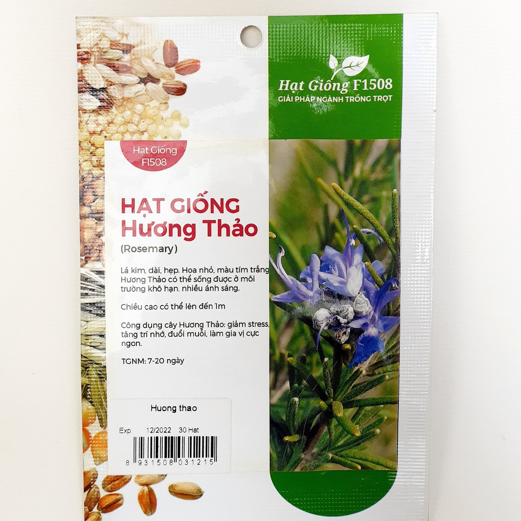 Hạt giống cây Hương Thảo 30 hạt