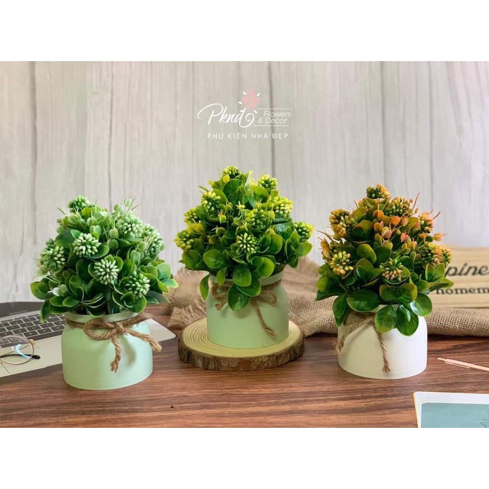 Chậu hoa giả để bàn đẹp trang trí PKND FLOWERS &amp; DECOR