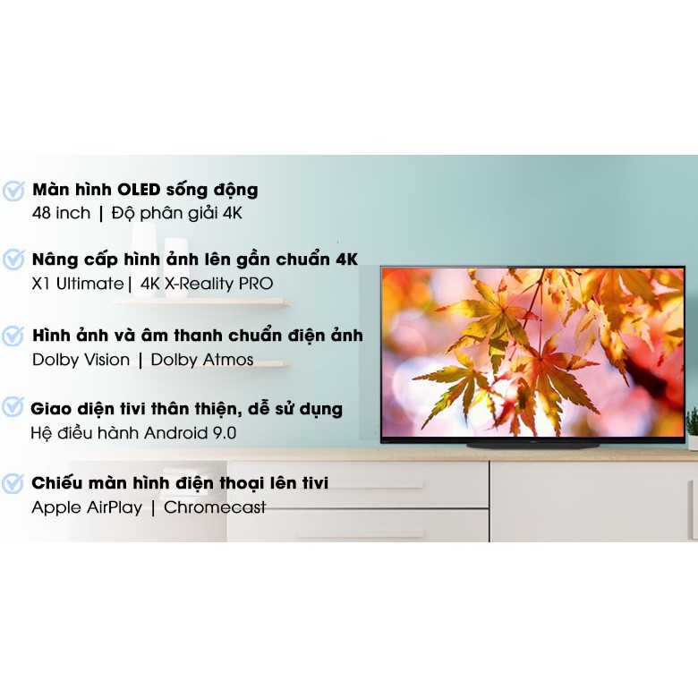 Android Tivi OLED Sony 4K 48 inch KD-48A9S (Miễn phí giao tại HCM-ngoài tỉnh liên hệ shop)