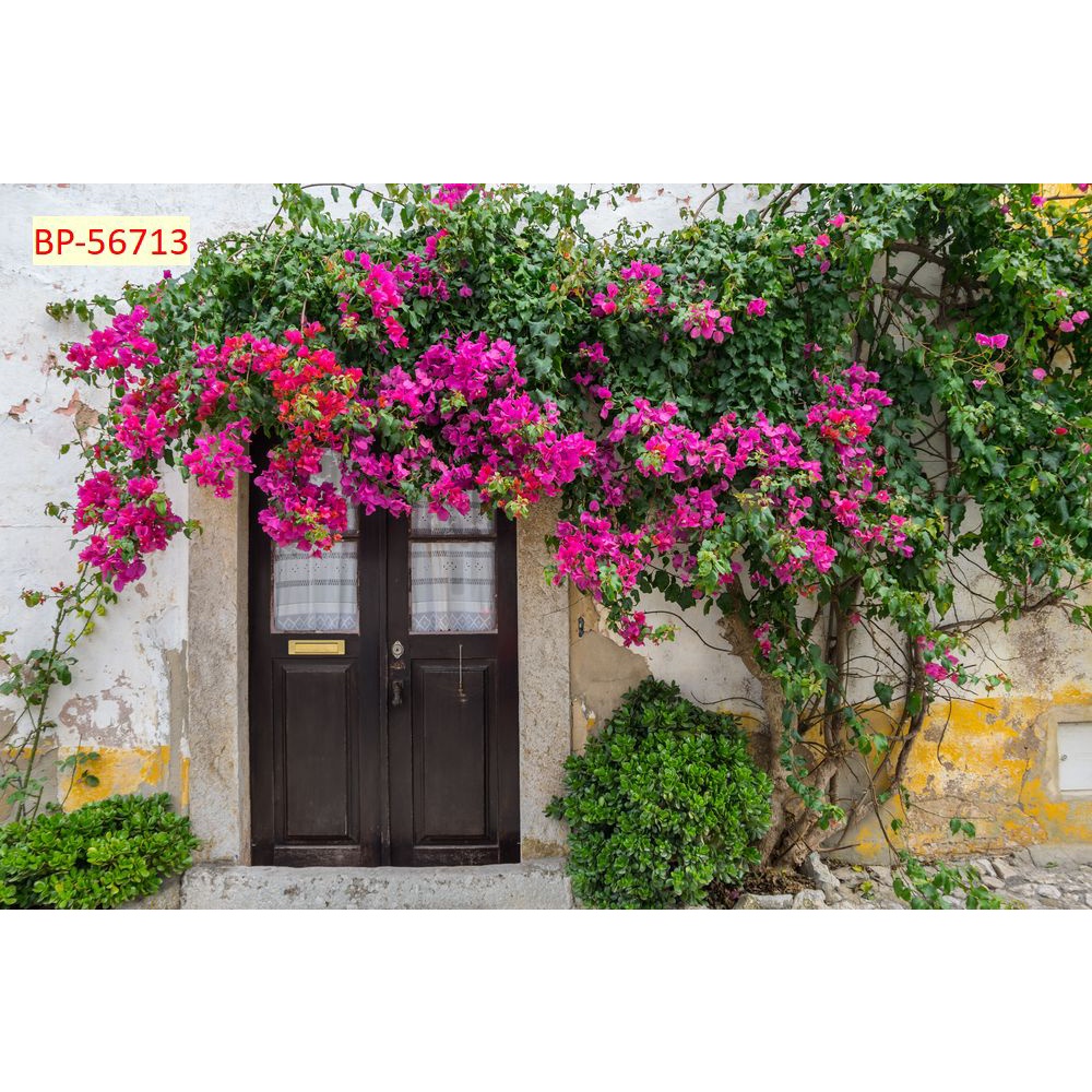 Tranh dán tường vải lụa 3D giành cho Quán Cafe, Trà Sữa, Trang Trí Cửa Hàng