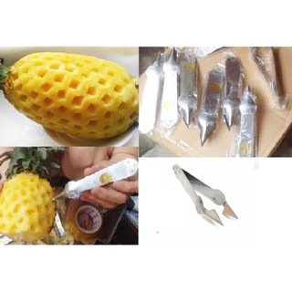 Dụng cụ gắp mắt dứa thần tốc, thép cứng 1180