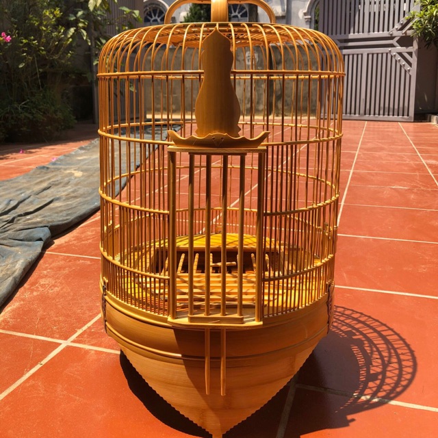 Lồng mi trơn