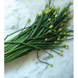 Hạt Giống Cây Lá Hẹ Ta– 2 Gram ( 1 gói )