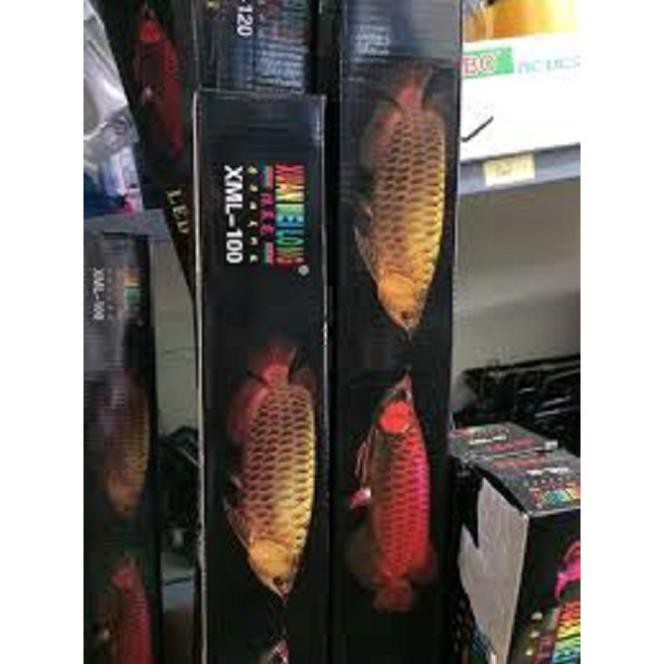 Đèn led hồ cá led rồng XUANMEILONG 4 HÀNG CHUYÊN DỤNG 100-120CM