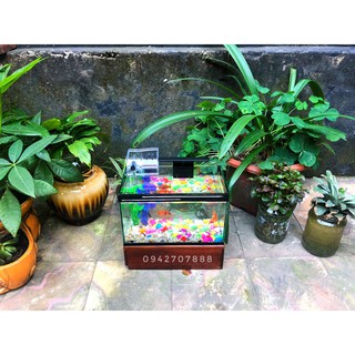 Bộ bể cá cảnh mini 25cm với lọc, đèn và phụ kiện trang trí