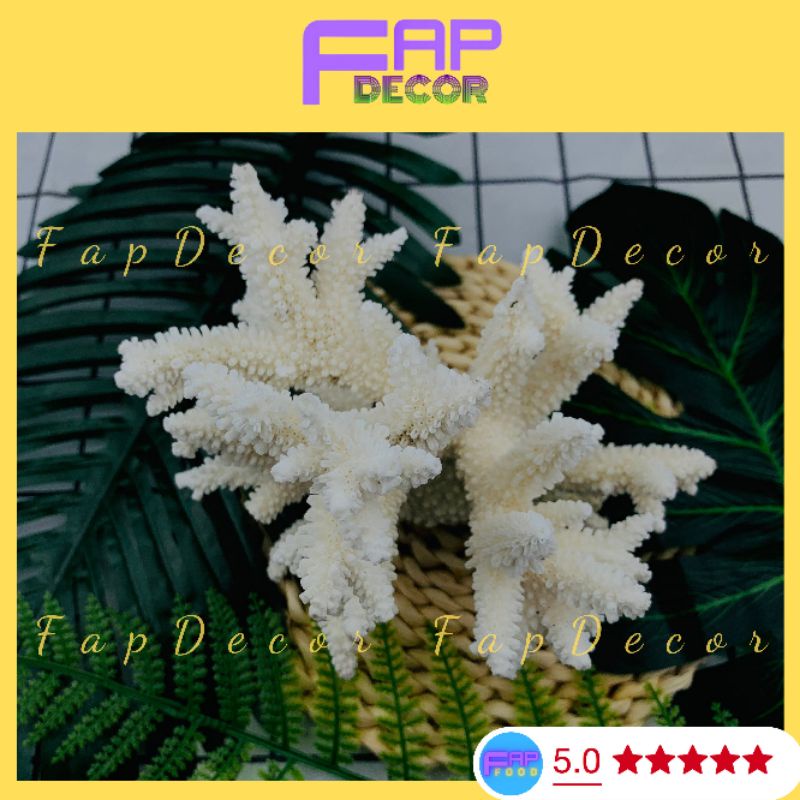 Bông San Hô Biển Thiên Nhiên, Bông Rạn Dạng Nhánh To Trang Trí Hồ Cá Decor Phòng - FapFood