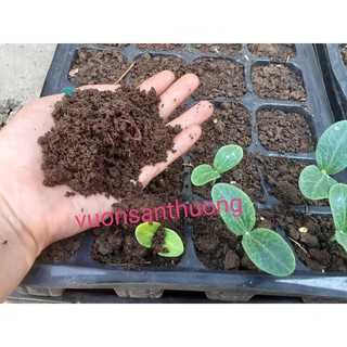 [ưu đãi]  Phân Trùn Quế (gói 1kg) Còn Ẩm bón cây cảnh, hoa hồng, rau, củ quả,...
