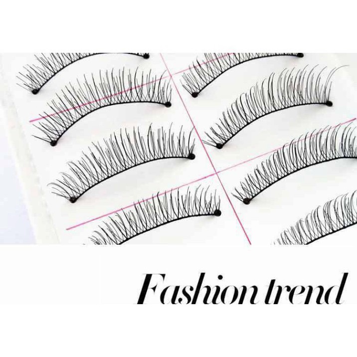 G8 DE 1 hộp 10 cặp mi lụa Đài Loan số 216 8 G8