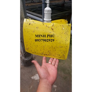 Bẩy côn trùng và ruồi