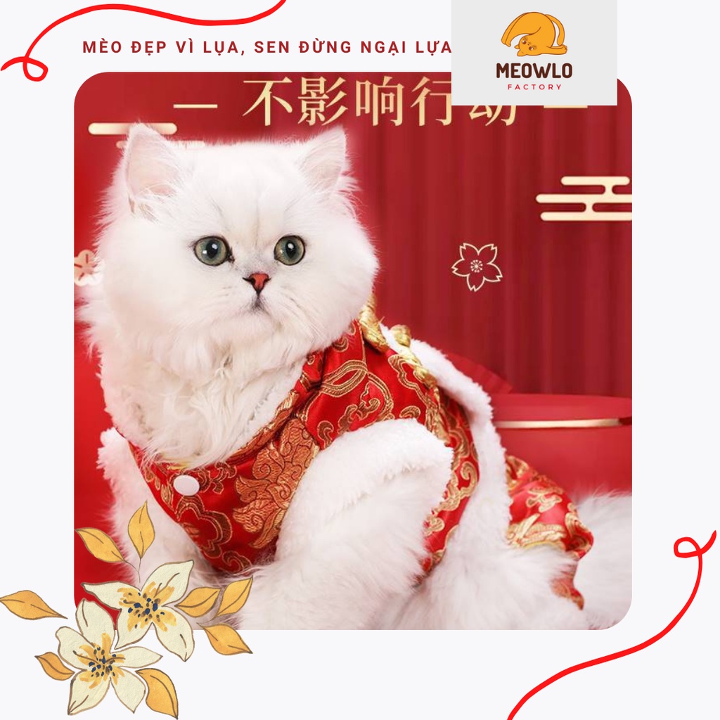 Áo quần gấm cho mèo cưng ⚡ HỎA TỐC ⚡ quần áo cho mèo sang trọng cao cấp