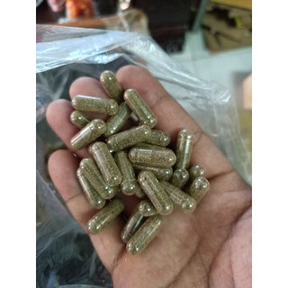 ARTERMIA NƯỚC NGỌT , ARTERMIA VIÊN , ARTERMIA NUÔI SINH KHỐI