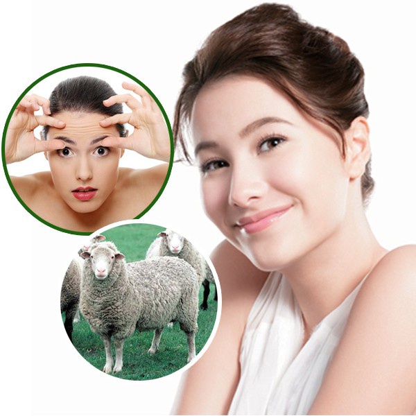 Sữa Rửa Mặt Tế Bào Gốc Cuống Rốn Nhau Thai Cừu