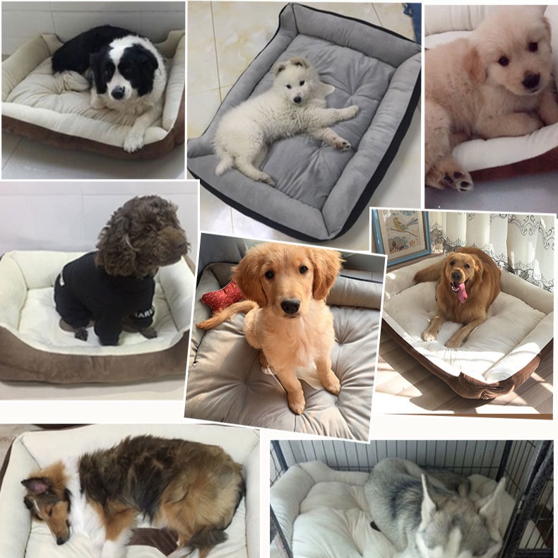 Giường Ngủ Cho Thú Cưng Cỡ Nhỏ / Vừa / Lớn Tiện Dụng