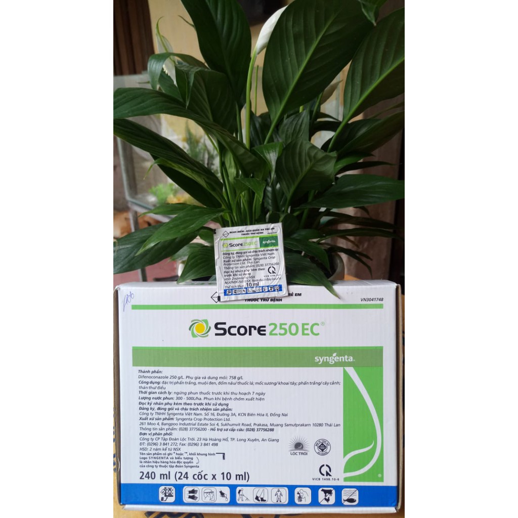Score 250EC- Thuốc đặc trị nấm, phấn trắng, mốc sương cho cây trồng