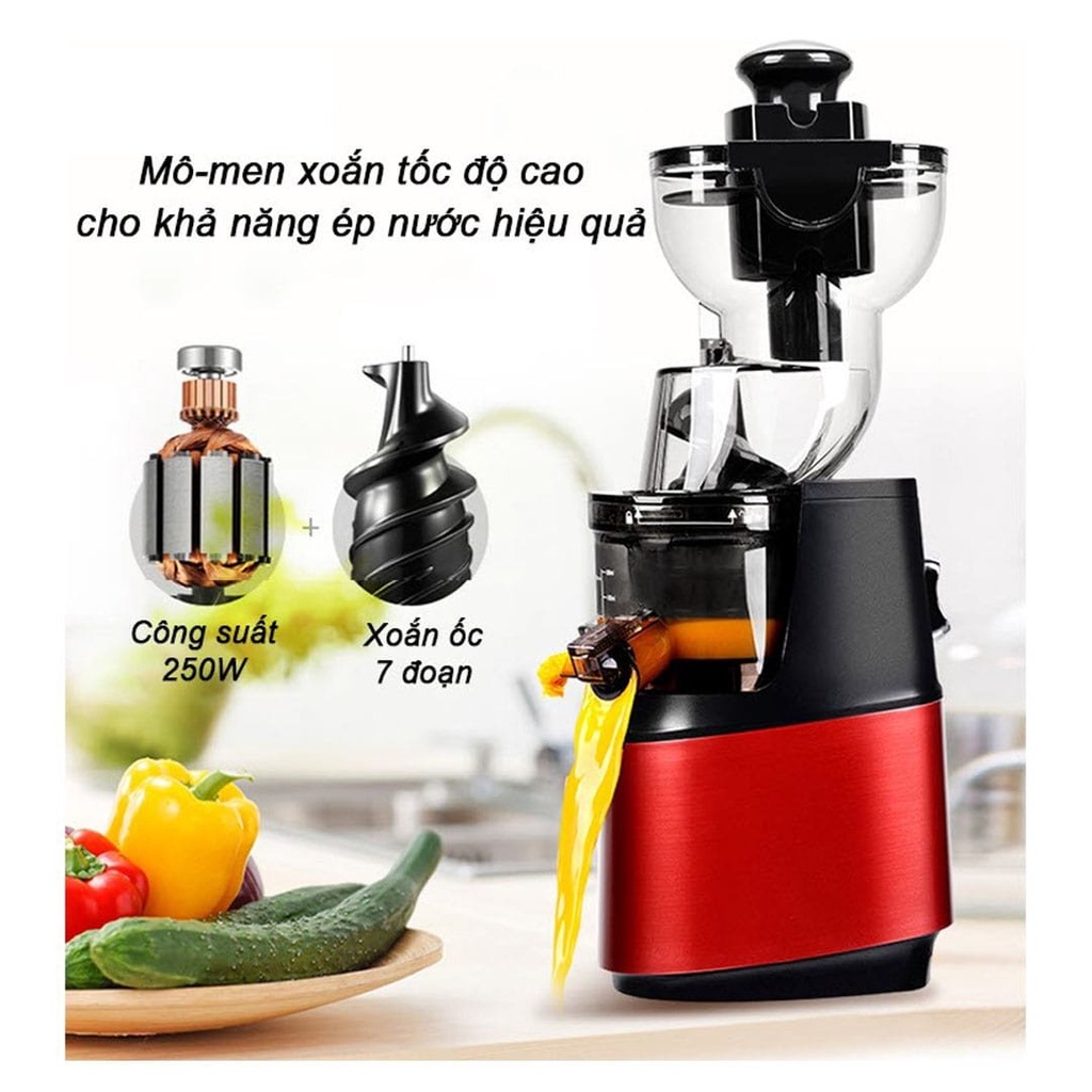 Máy Ép Chậm, Máy Ép Trái Cây Vắt Trái Cây Rau Củ SAVTM A09 - LAVITA