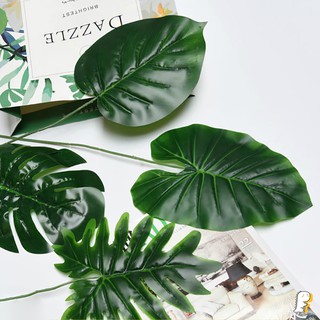 [Hàng có sẵn] Lá khoai nước decor chụp ảnh, nhà cửa, cửa hàng