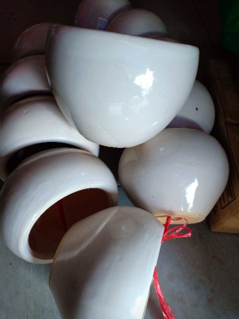 Chậu sứ trắng trồng cây KT: R19cm x C14cm x D11cm