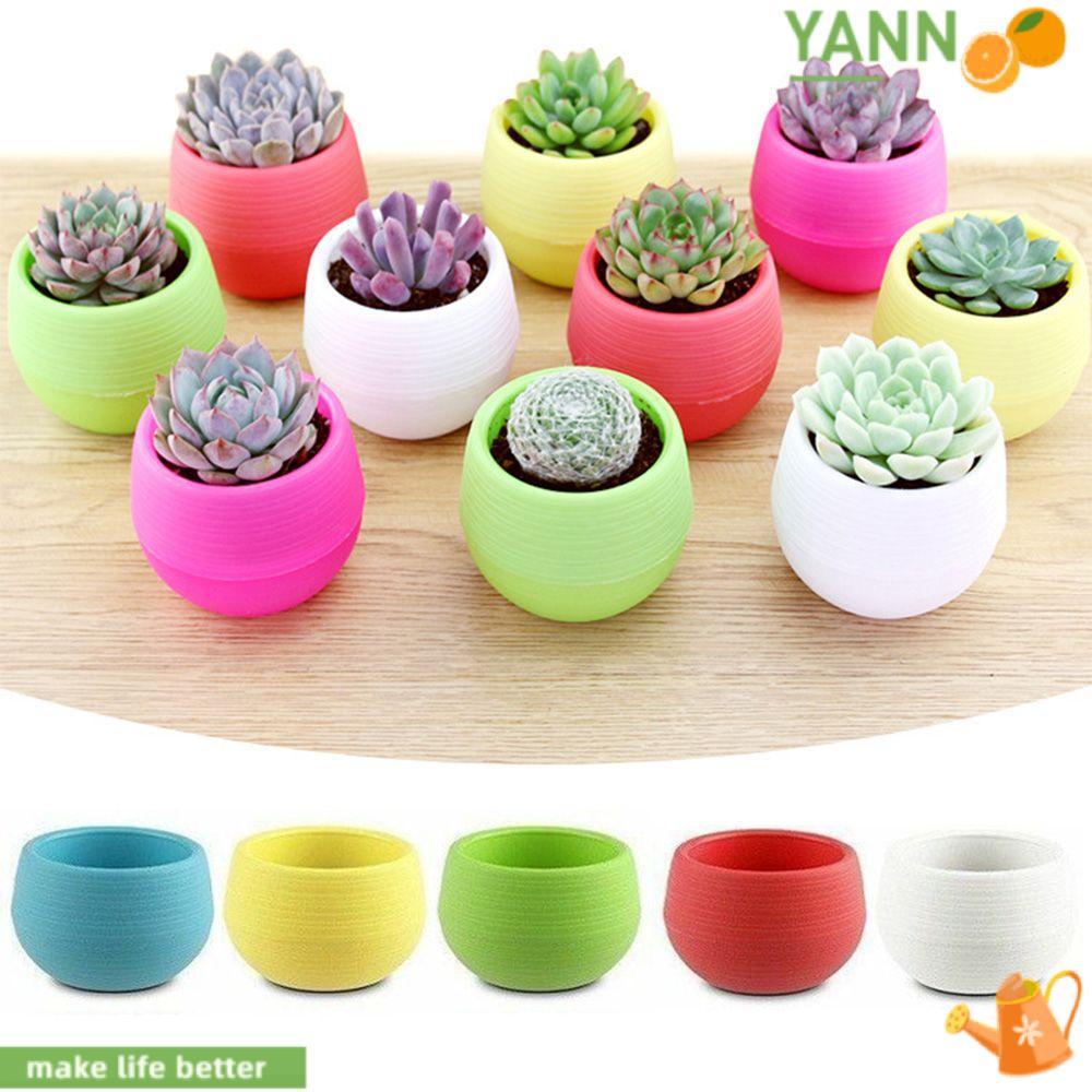 Bộ 6 Chậu Trồng Cây Mini Xinh Xắn Tiện Lợi