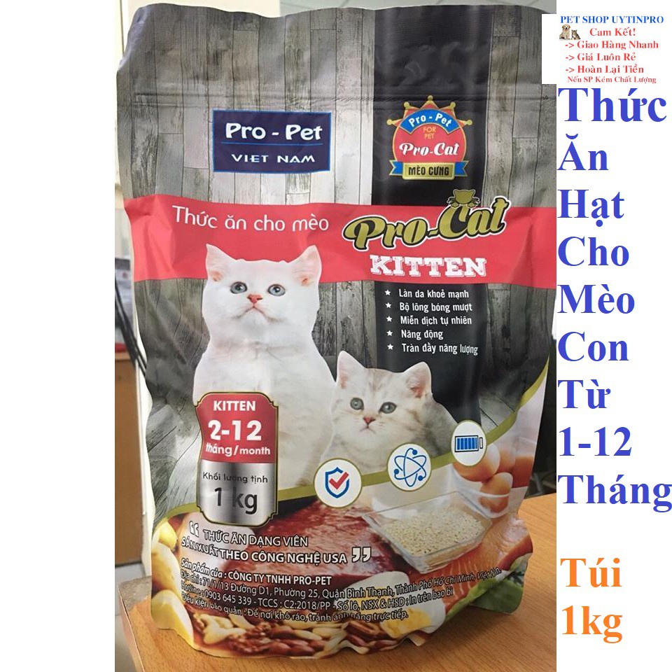 THỨC ĂN HẠT CHO MÈO CON Pro-Cat Kitten Túi 1kg Xuất xứ Pro-Pet Việt Nam