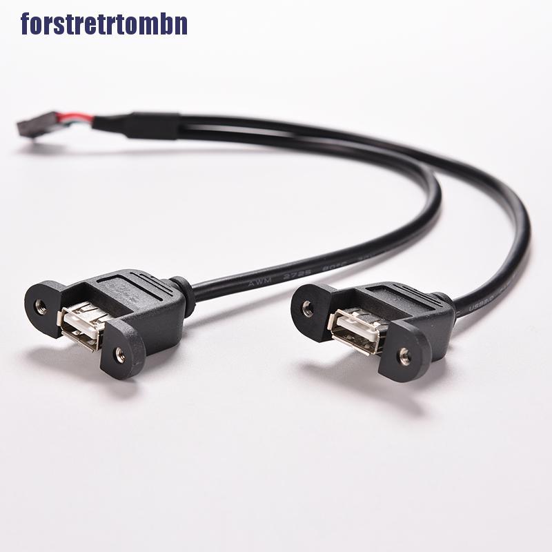1pc Black 30cm / 1ft 2 Port Usb A Female To Inter 9 Pin Header Ada | BigBuy360 - bigbuy360.vn