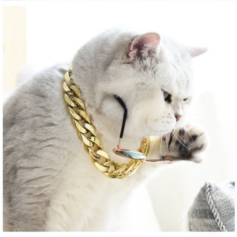 Vòng cổ dây xích cao cấp cho chó mèo có nhiều size