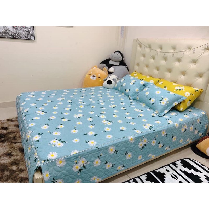 Bộ phủ trần bông 5 món xẻ góc | BigBuy360 - bigbuy360.vn