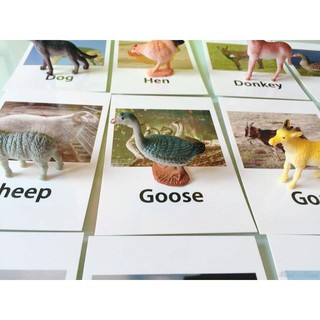 bộ động vật nuôi cho bé