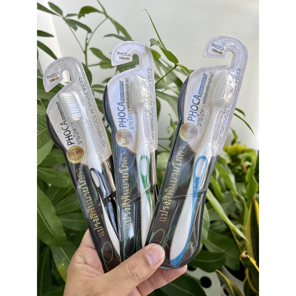 Bàn chải đánh răng lông mềm mịn Phoca Thái Lan