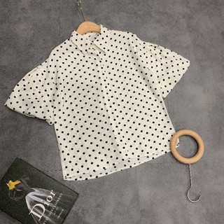 ÁO SƠ MI LỤA (hàng cao cấp)