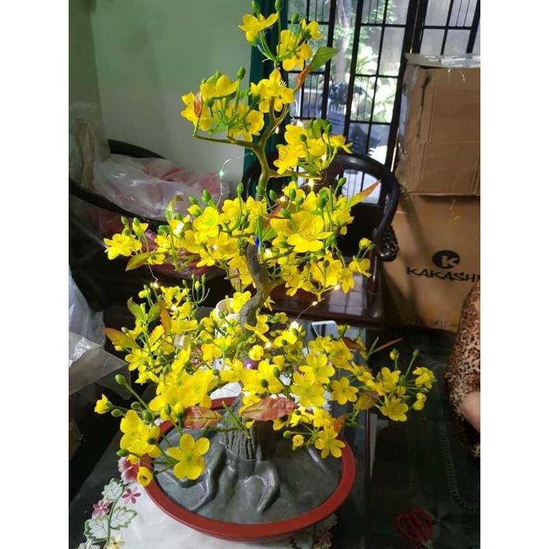 hoa mai lụa