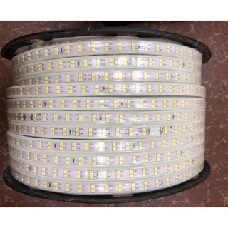 {GIÁ SẬP SÀN} Cuộn led dây đôi 2835 100M (ánh sáng vàng, trắng, xanh dương)