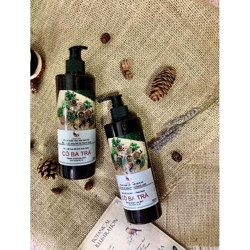 Dầu gội thảo dược Cô Ba Trà