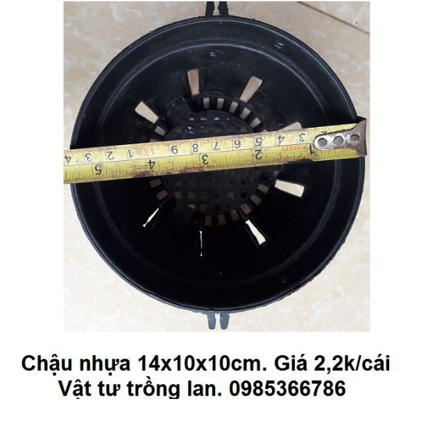 Bán buôn- 10 chậu nhựa đen trồng lan phi 14 hàng đẹp, nhập khẩu.