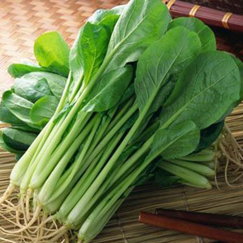 Hạt Giống Cải Ngọt Cao Sản  - Dễ Trồng, Năng Suất Cao - MUA 3 TẶNG 1 CÙNG LOẠI