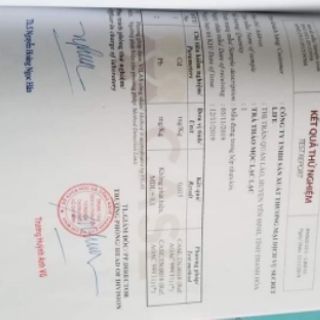 TRÀ THẢO MỘC LẠC LẠC