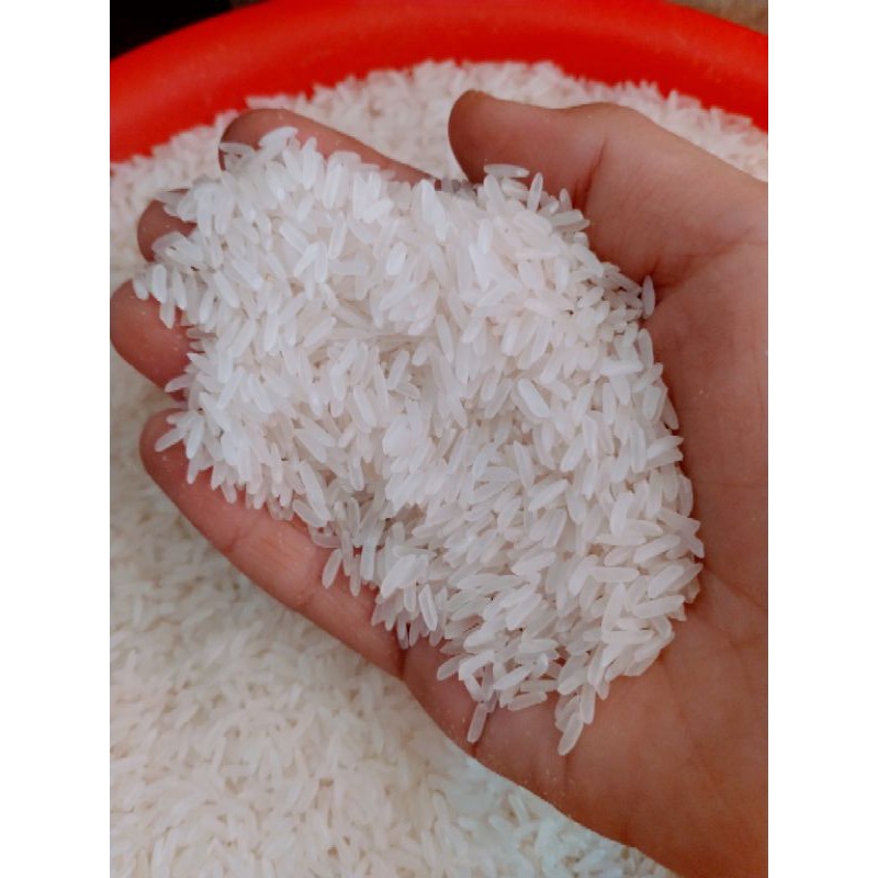 Gạo tứ quý thượng hạng