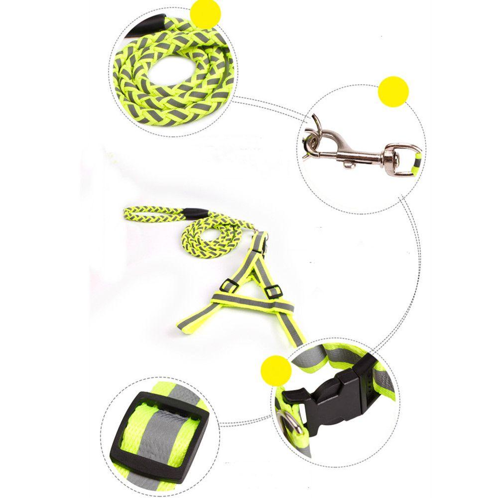 Dây Xích Huấn Luyện Thú Cưng ZAIJIE24 Thiết Kế Bền Bỉ Tiện Dụng