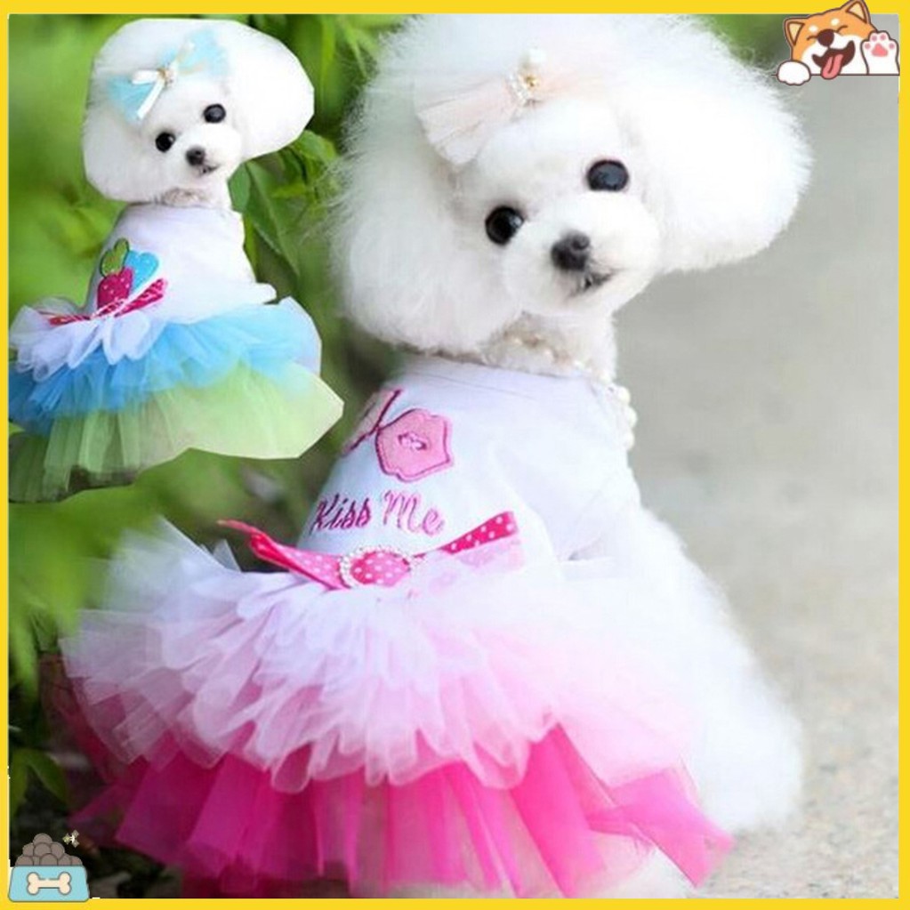Đầm Tutu Phối Ren Cho Thú Cưng